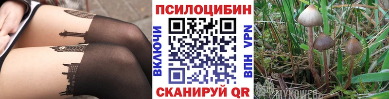 ОМГ ОМГ онион Эртиль Псилоцибиновые грибы MAGIC MUSHROOMS купить наркотик